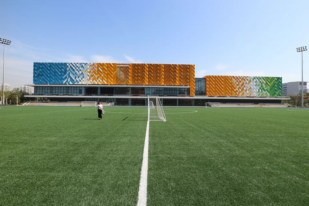 如何利用人工智能技术打造高效的校园体育训练系统？