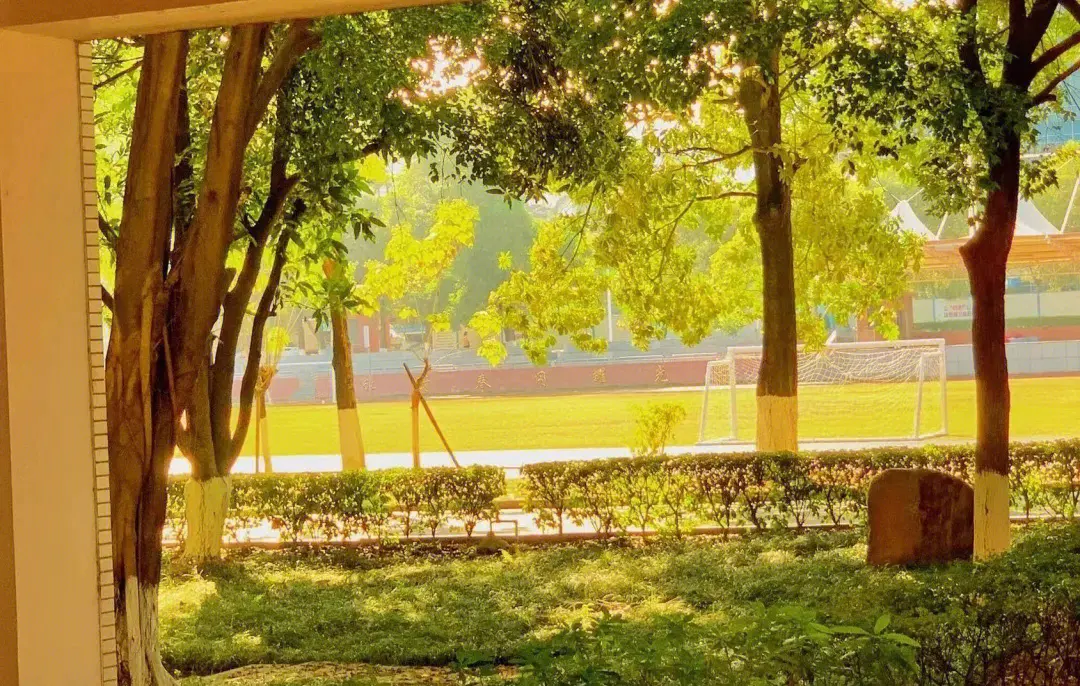 当学子离家在外，亲情电话成为校园中的心灵支柱